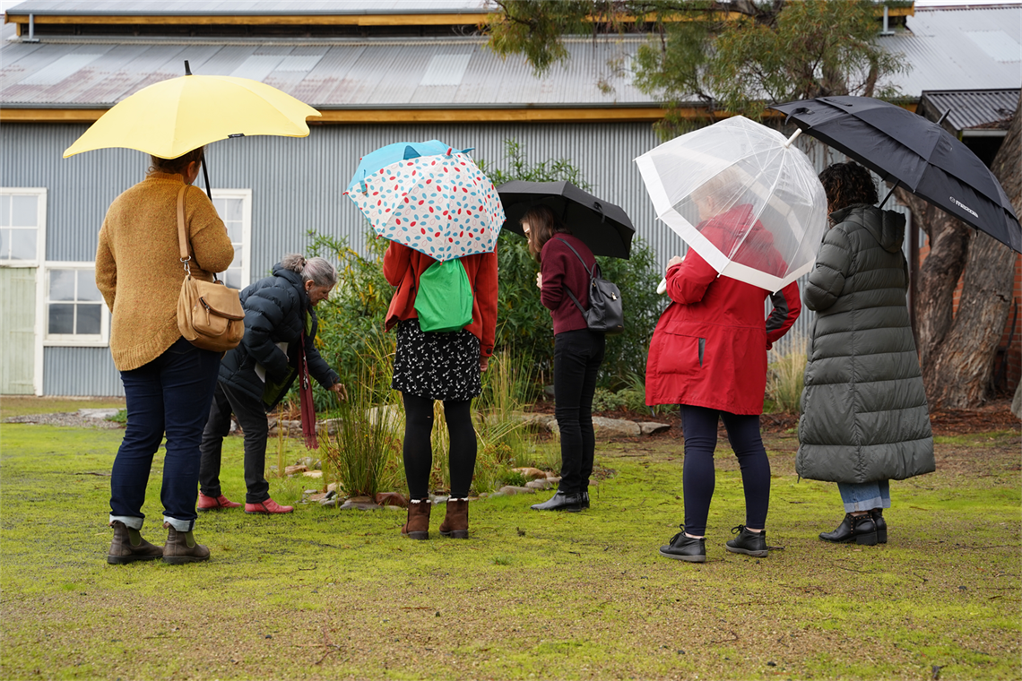 The QVMAG Aboriginal garden - a conversation