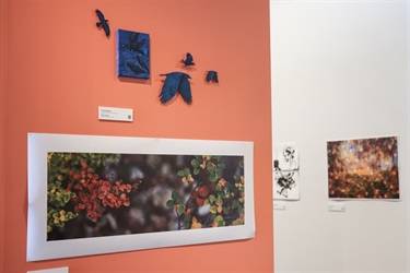 ArtRage 2025 Exhibition view