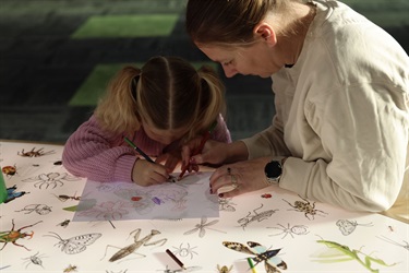 Families enjoying the BUGS exhibition at the Queen Victoria Museum at Inveresk with free entry