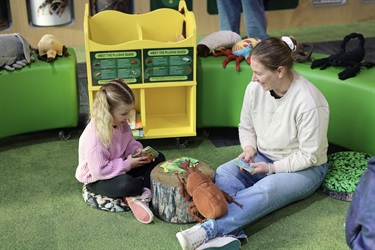 Families enjoying the BUGS exhibition at the Queen Victoria Museum at Inveresk with free entry