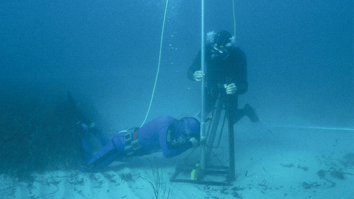 diver-working-on-seabed.jpg