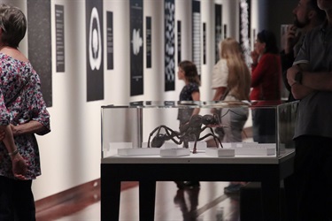 Ants display at the Mind Blown exhibition