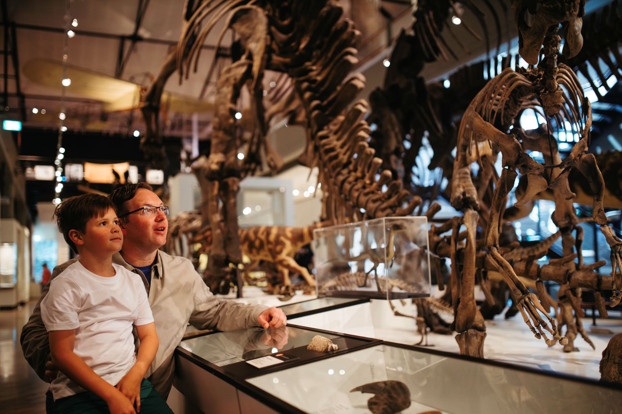A father and son look up at dinosaur skeletons in the Tasmanian Connections exhibition