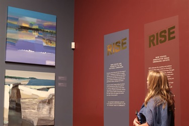 A visitor looks at the works of Jeewan Suwal