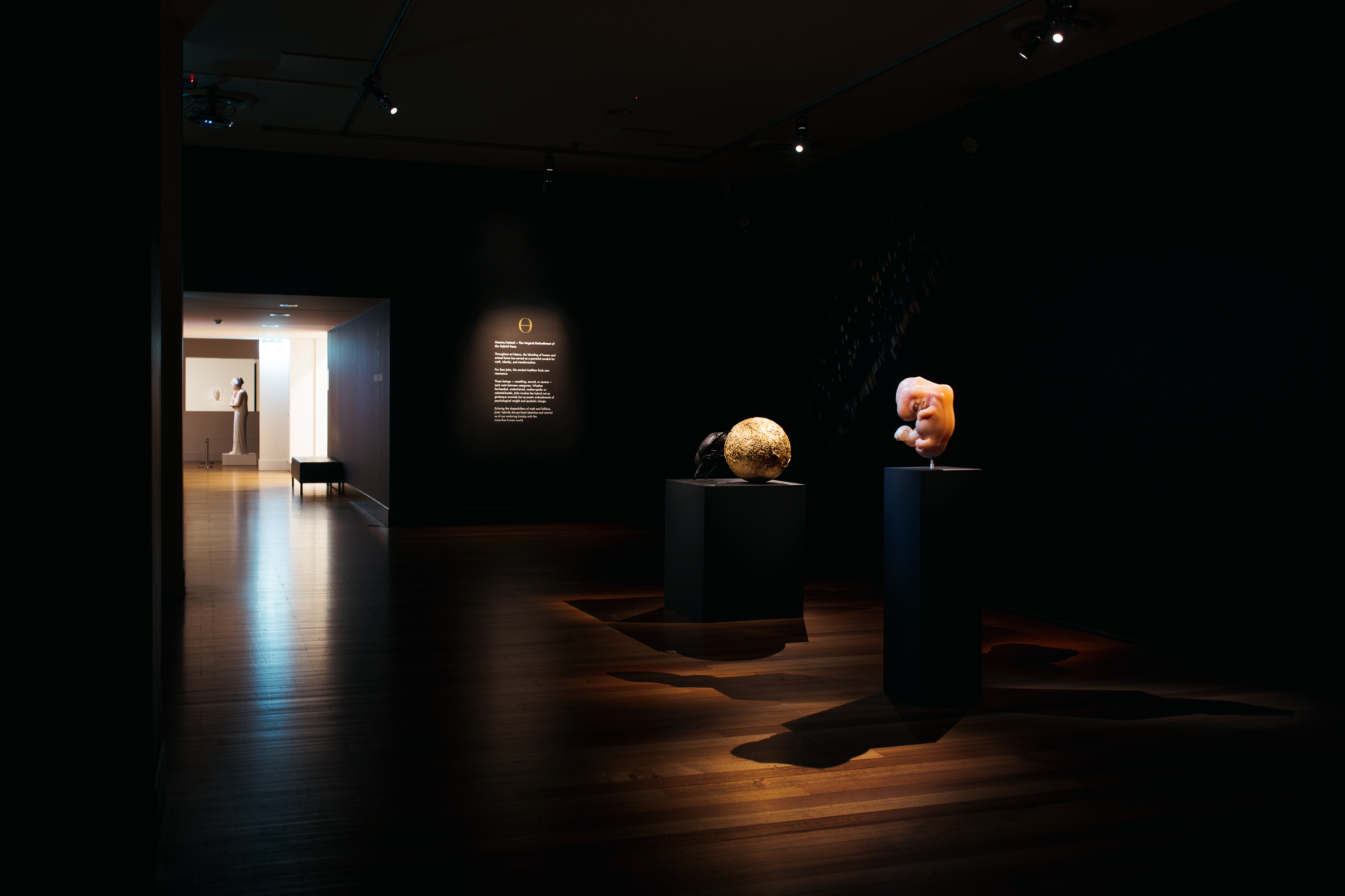 Sam-Jinks-QVMAG-exhibition-view-03.jpg