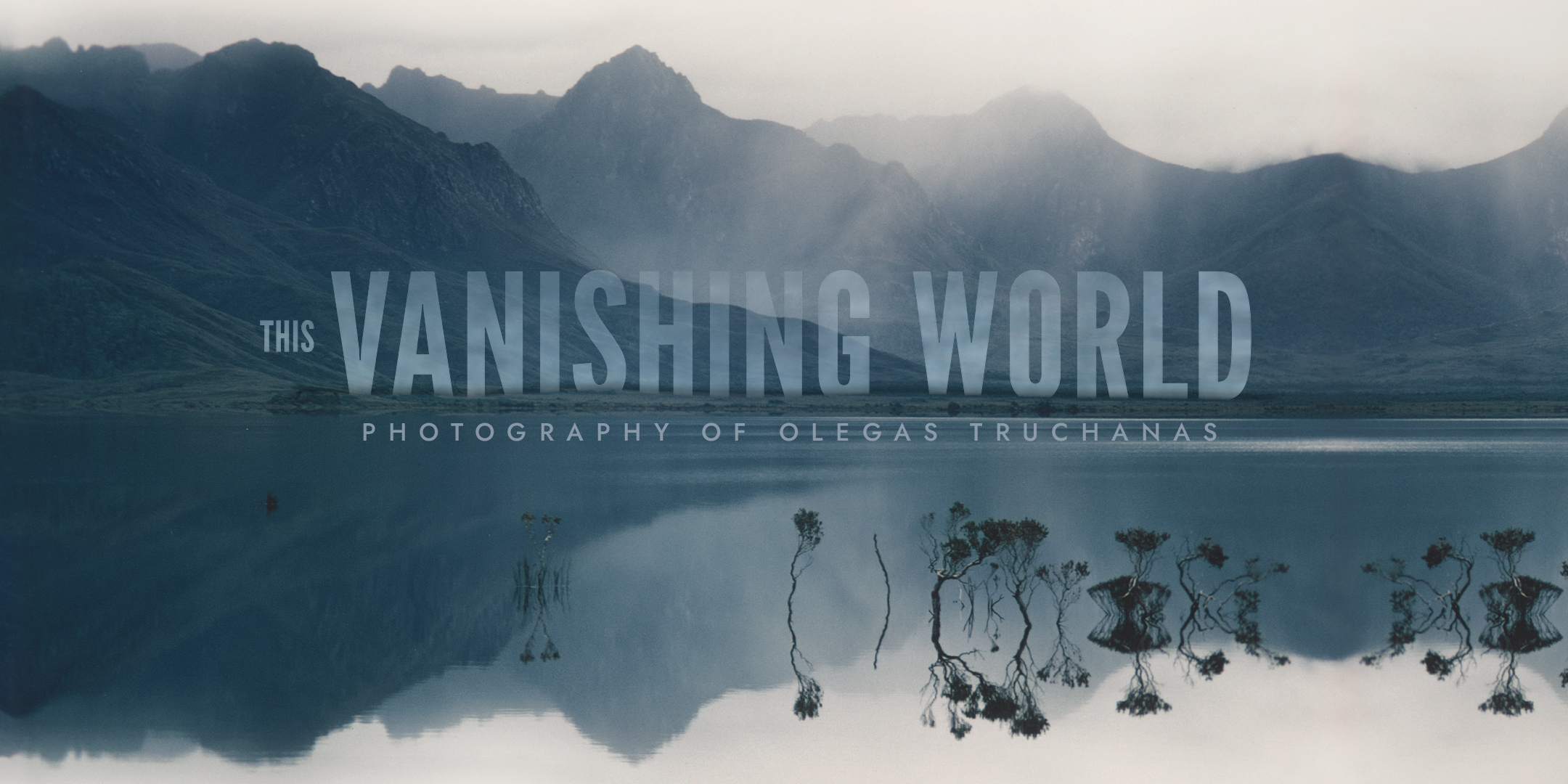 TVW _Banner_Sml.jpg