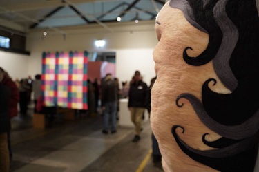 Fran Reeves' Long Sustaining, The Crone in the Women's Art Prize Tasmania 2024 exhibition