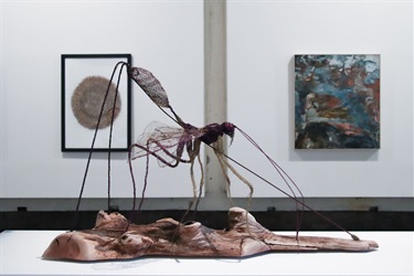 Susan McArthur's Ichneumon Wasp on Native Cherry in the Women's Art Prize Tasmania 2024 exhibition