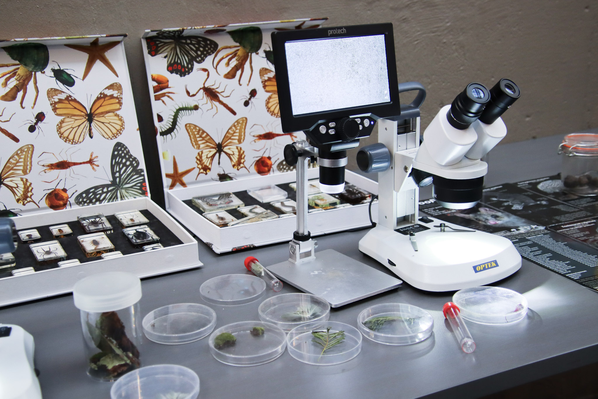 Big Day of Science 2024 - microscope