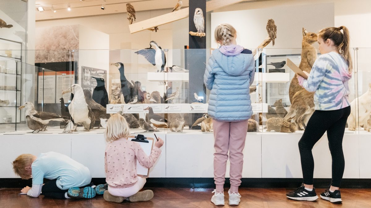 school-group-tasmanian-connections-qvmag-inveresk-museum.jpg