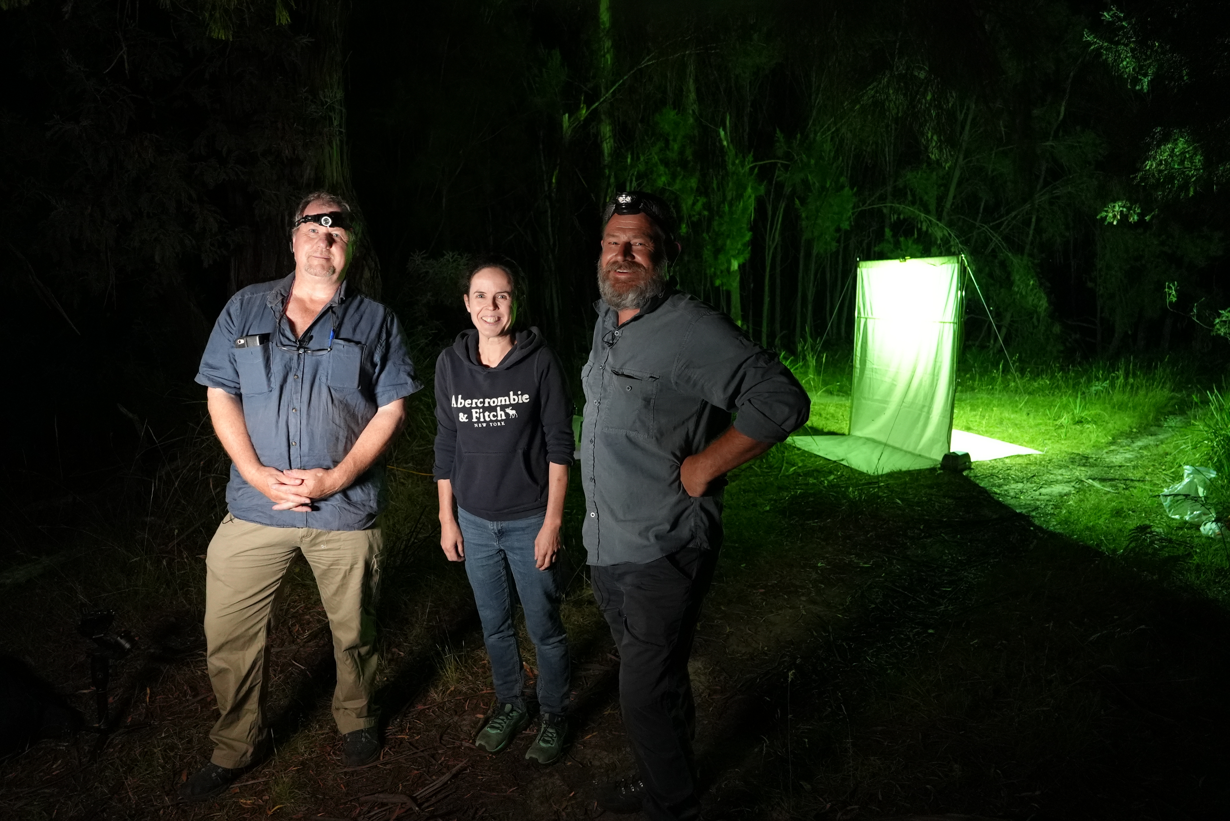 QVMAG Natural Science team collecting moths at night.JPG