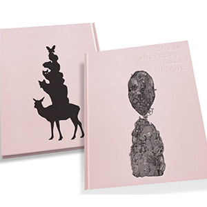 Image of the Shapeshifting - Helen Wright publication