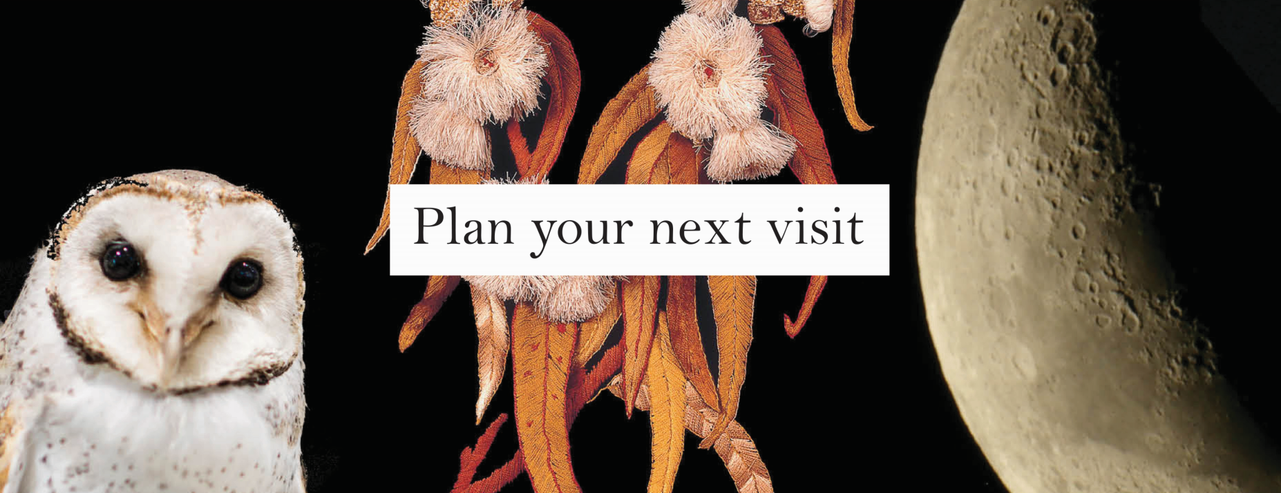 QVMAG Plan your Next Visit 2.png